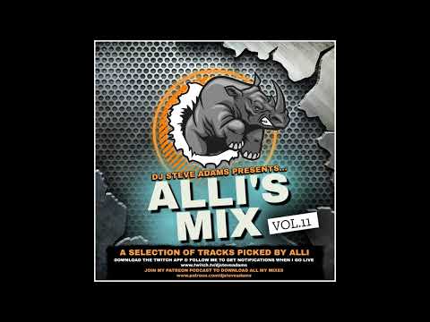 DJ Steve Adams Presents... Alli's Mix Vol. 11