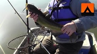 preview picture of video 'Fishing for channel catfish on the Susquehanna River'