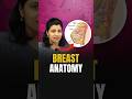 NEET Concept Breast Anatomy Breast Structure NEET 2024 Biology Neetbiology Neet2024