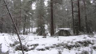 preview picture of video 'Arvika (Sweden) winter hike'
