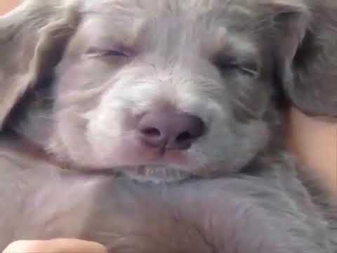 Anniversaries and Birthdays from the week of February 4, 2018.