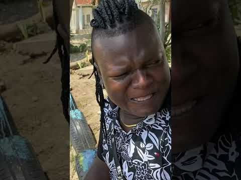 The humor voucher vs. The Niche Flow who won?