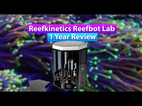 ReefBot Lab — 1 year review