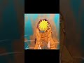 Naruto 2002 2021
