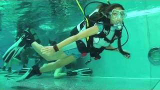 Den SeaStar Girls steht das Wasser bis zum Hals