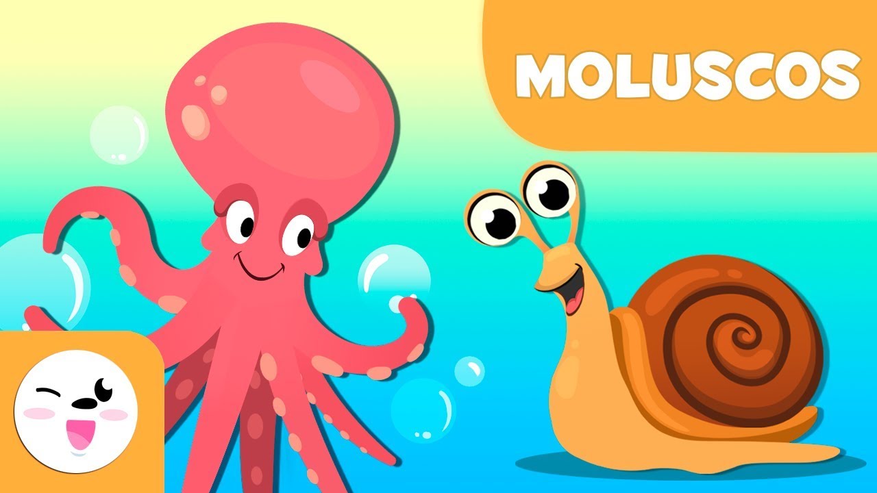 Los moluscos para niños - Animales invertebrados - Ciencias naturales para niños