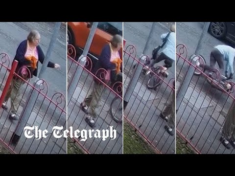 Moment pedestrian swears at a cyclist before she's hit and killed by a car