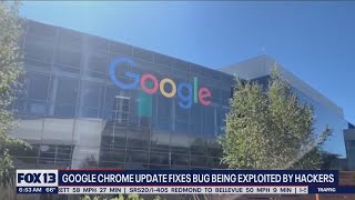 Google Chrome update fixes bug being exploited by hackers | FOX 13 Sea