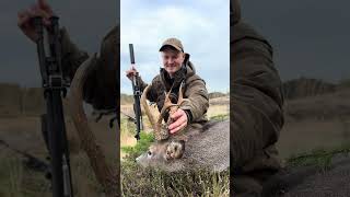 😲Mein Traumbock - vor wenigen Tagen erlegt 🍃 #bockjagd #hunting #jagd Saltstone, Jarnheimr