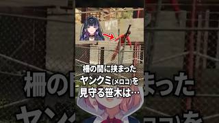 柵の間に挟まったメロクミを見守る笹木咲【狂蘭メロコ / にじGTA / 切り抜き】