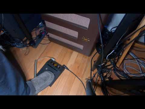 Royal RF-1 Fuzz Box | Reverb