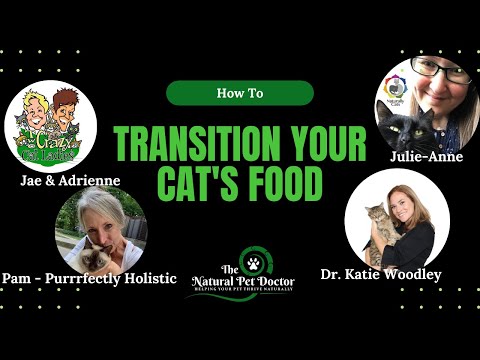 How To Transition Your Cat To A Fresh Food Diet