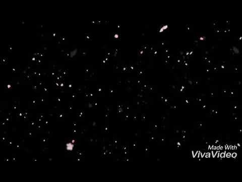 Proud Feelings - Apeksha's Birthday 2018