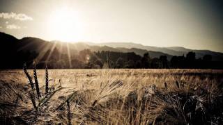Infusion - Legacy (Junkie XL Remix) (Edit)
