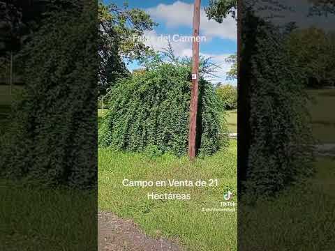 Campo en Venta Falda del Carmen