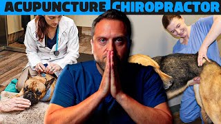 Ranking Alternative Treatments For Pets