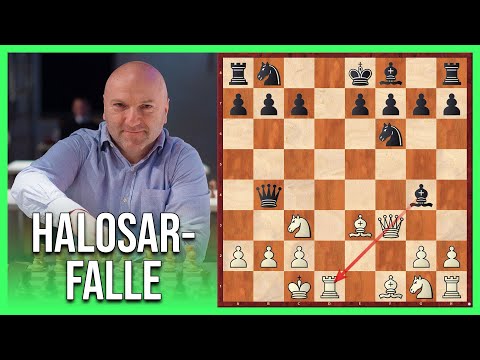 Cunning OPENING TRAP || The Halosar Trap in the Blackmar-Diemer Gambit