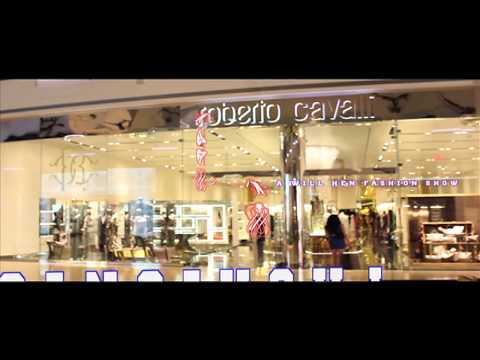 Willie Hen  ft. Allen Anthony - Fashionista - [Official Music Video]