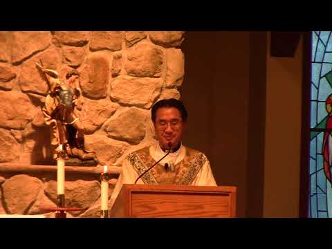 Father Francis Homily on the Baptism of the Lord