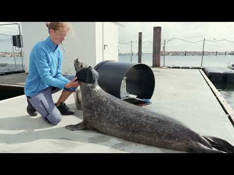 Das strategische Forschungsfeld HealthTechMedicine – Neurosciences der UMR stellt sich vor!