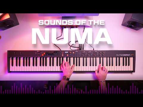 Studiologic Numa Compact X SE Piano Keyboard: The next level in sound and portability!