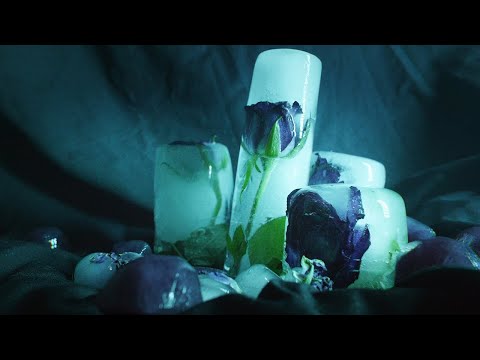 pale rose - ніби перший сніг (music video)