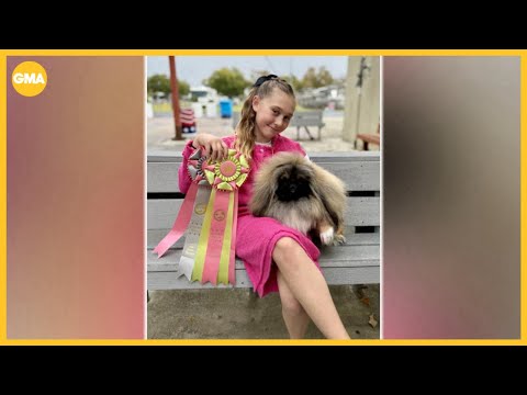 12-year-old girl to compete for best in show with her pooch - YouTube
