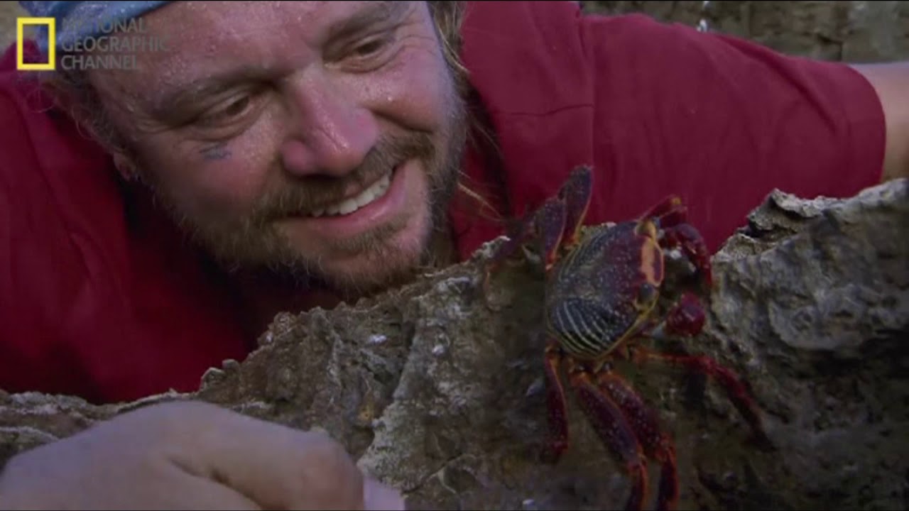 Ilhas Oceânicas Brasileiras - National Geographic (NatGeo) - Documentário - Missão Américas