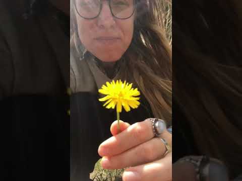 Flower scavenger hunt!