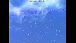 Incroyable flotte d'ovnis Guadalajara au Mexique le 10 Juin 2004 - Ovnidunet.free.fr