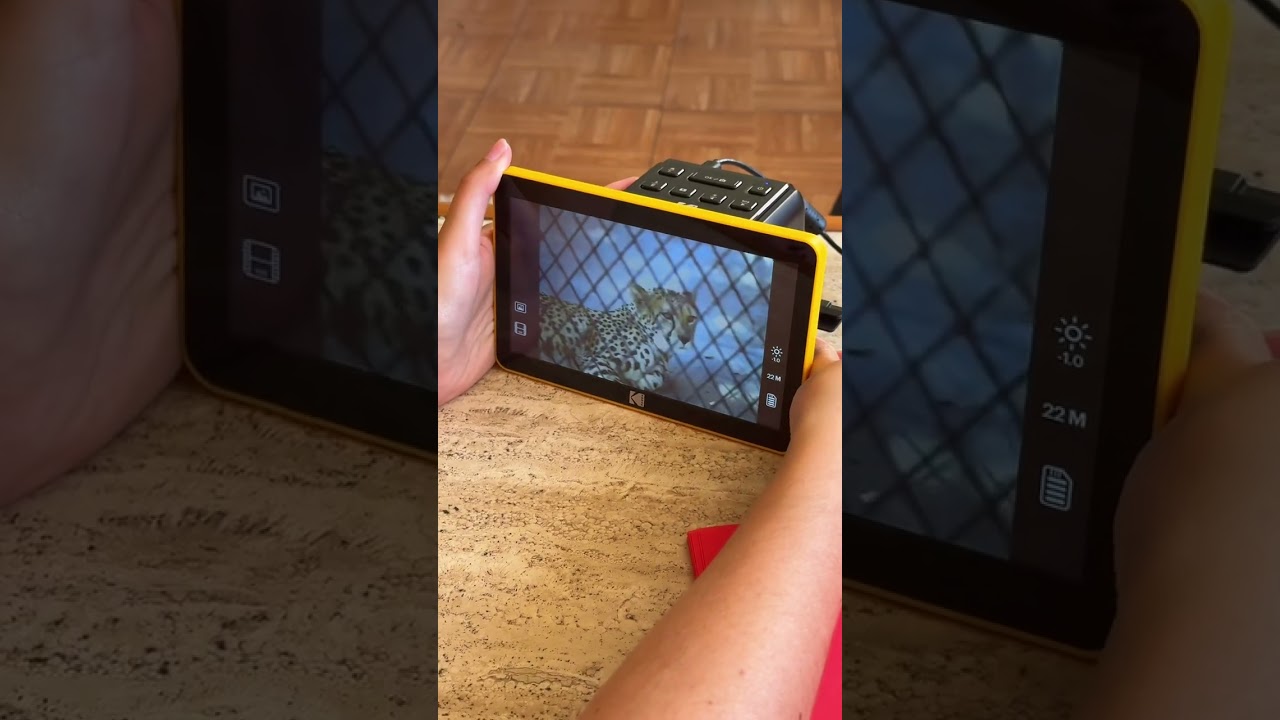 Going through my latest on the Slide N Scan, editing my favorites, and printing them out to share 💌