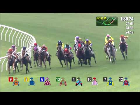 28/3/2021 (537) Kungfumaster Panda - Derek Leung