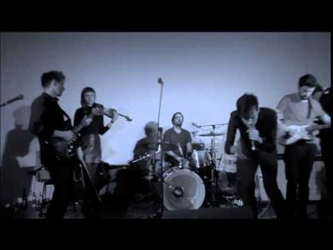 Instinctive Racoon Christmas Party