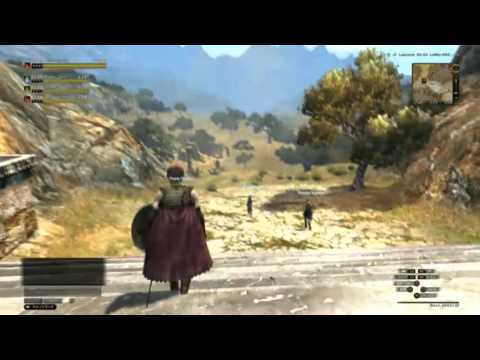 Dragon's Dogma Online Playstation 4