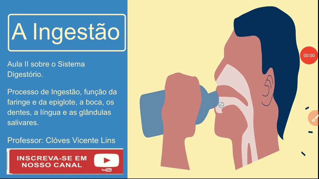 Ingestão dos alimentos. O Sistema Digestório - aula II.