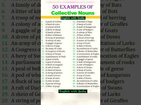 50 Collective Nouns you need to know || #spokenenglish #vocabulary #learnenglish