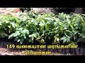 149 வகையான மரங்கள் இந்தியாவில் இருக்கக