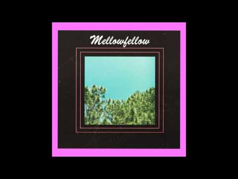 Fellow Mellow - Until The Time
