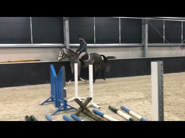 Under saddle - Just broken