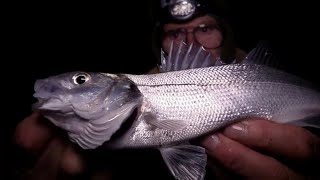 Winter Beach Fishing: Night Time Session