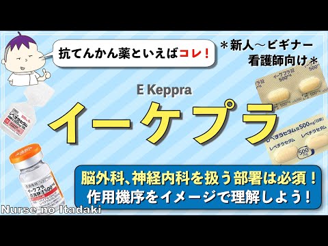 犬用ガバペンチン – 用量、使用法、副作用
