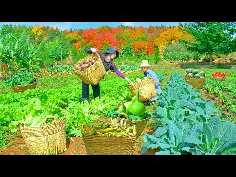 Harvest Homegrown Vegetables And Fruits To Sell At The Market, Cook With Them, And Garden