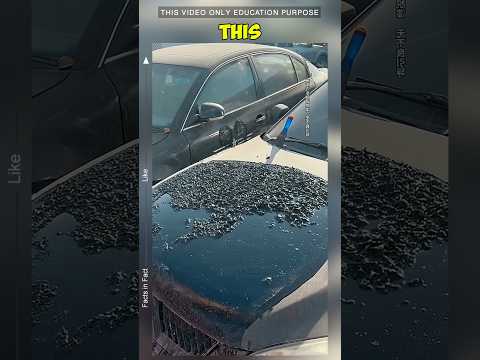 paint remover liquid that easily removes paint: #paintremover #viralvideo #shorts