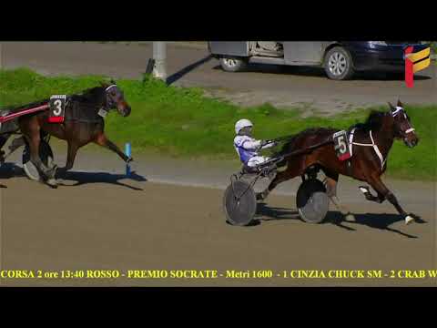 II Corsa del 27 Novembre 2021 - 3 Anni - Metri 1600