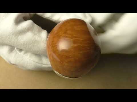 Ser Jacopo Domina 2026 L2 D - pipe 2229