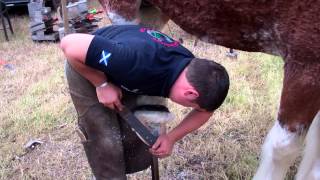 preview picture of video 'Farrier Agricultural Show Kirriemuir Angus Scotland'