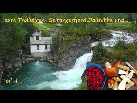 Mit Wohnmobil, Hund und Angelrute 2018 durch Norwegen Teil4