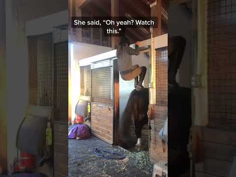 Tried to get Ally with this one, but she made a fool out of me #Coming2America #fyp #equestrian