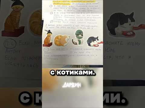 Инструкция к коту