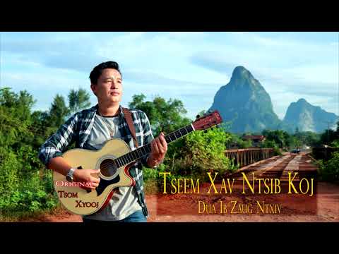 tseem xav ntsib koj dua ib zaug ntxiv by tsom xyooj 2020